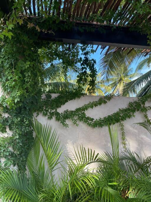 Casa Tulup Sisal Villa Exteriör bild